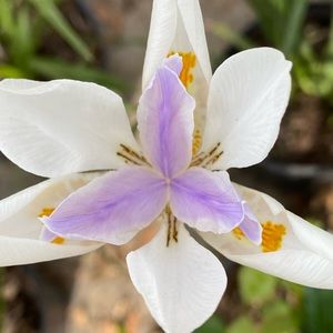 Meet your Posher, Eunice